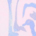Soft Pink Zebra