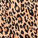 Tan Leopard