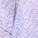 Soft Pink Zebra