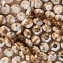 Oyster