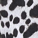Snow Leopard