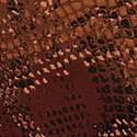Serpentine Brown