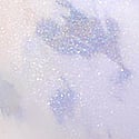Soft Abstract Zebra