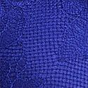 Fantasia Blue