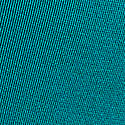 Parrot Blue