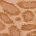 Natural Glam Leopard