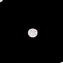 Black Dot P Script Print
