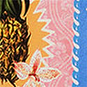 Multi Fruit Print
