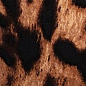 Desert Gold Leopard