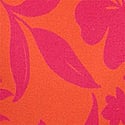 Bold Botanicals