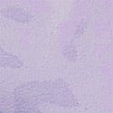 Purple Leopard