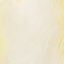 Yellow Stripe