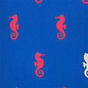 Calypsea