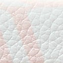 Victoria Script