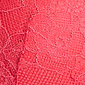 Hot Coral