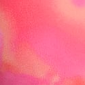 Candy Pink Hibiscus Print