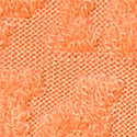 Sweet Cantaloupe