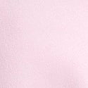 Pink Tulip