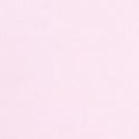 Pink Tulip