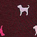 Wild Rose Dog
