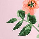 Angel Pink Botanical
