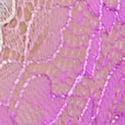 Gumdrop Purple