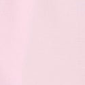 Pink Tulip