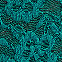 Parrot Blue