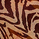 Brown Zebra