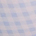 Blue Gingham