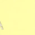 Lime Yellow & Silver