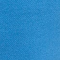 Varsity Blue