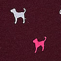 Wild Rose Dog