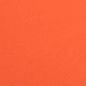 Orange w/ Ghost Graphic