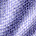 Periwinkle