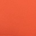 Orange w/ Skeleton Dog Graphic