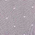 Lilac Crush w/Wild Rose Trim