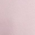Pink Tulip