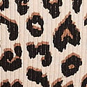 Marzipan Leopard