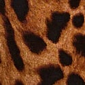 Print