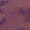 Shadow Purple