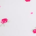 Pink Ditsy Floral