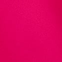 Vibrant Fuschia