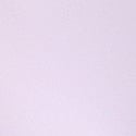 Purple Whisper