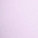 Purple Whisper