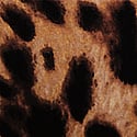 Desert Gold Leopard
