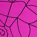Pink Fire Spiderweb
