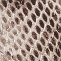 Natural Snake