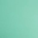 Dusty Turquoise