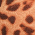 New Leopard